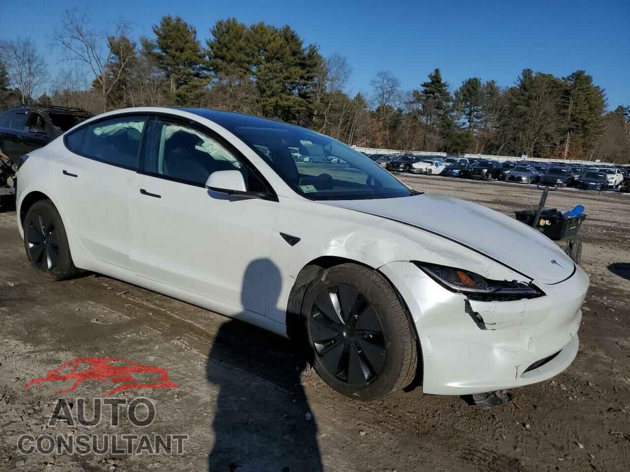 TESLA MODEL 3 2024 - 5YJ3E1EA7RF731299