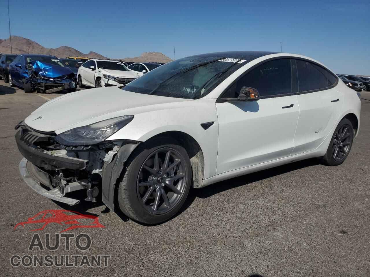 TESLA MODEL 3 2020 - 5YJ3E1EA3LF805101