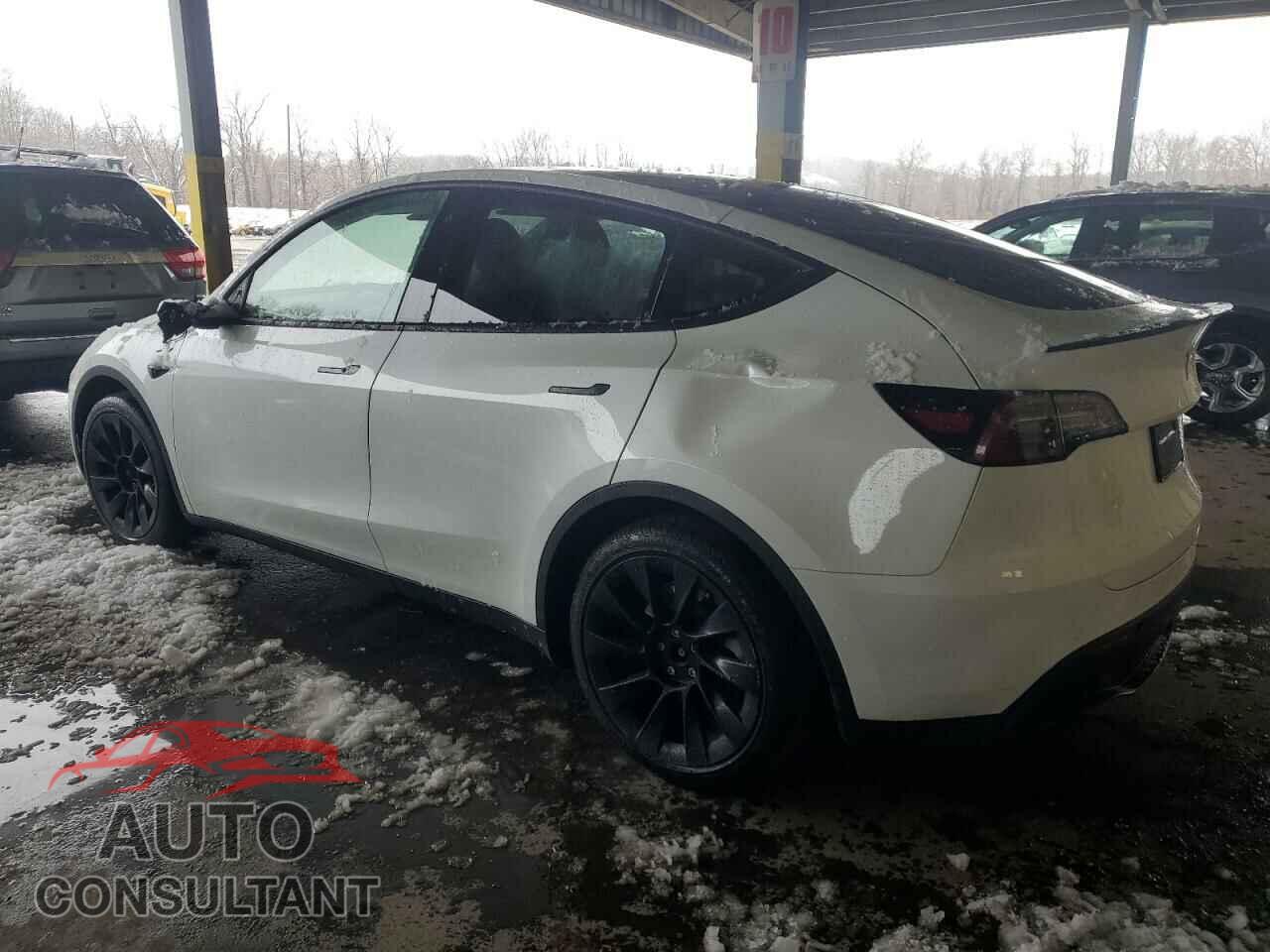 TESLA MODEL Y 2021 - 5YJYGAEE9MF193121