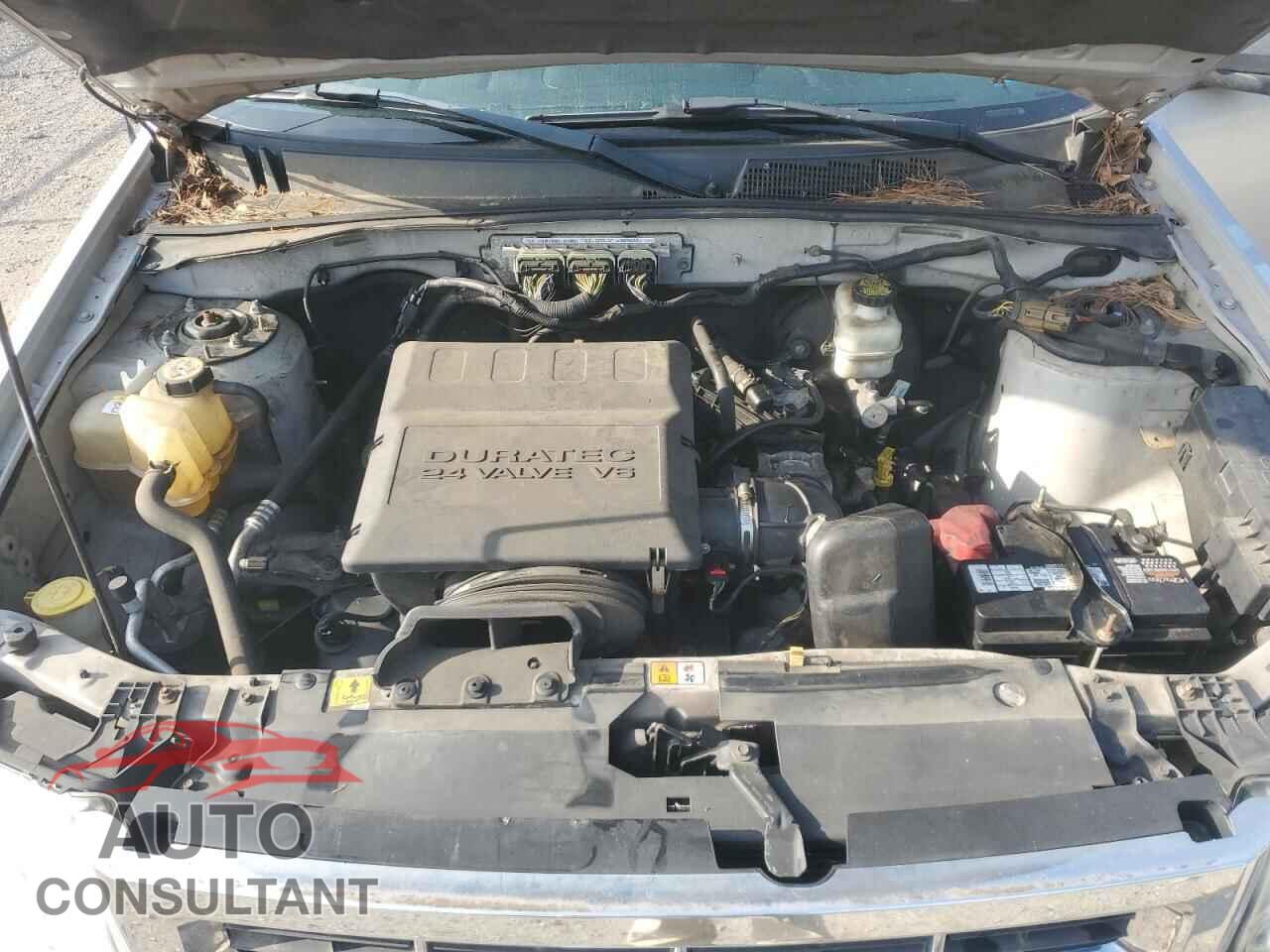 FORD ESCAPE 2011 - 1FMCU9DG8BKA31027