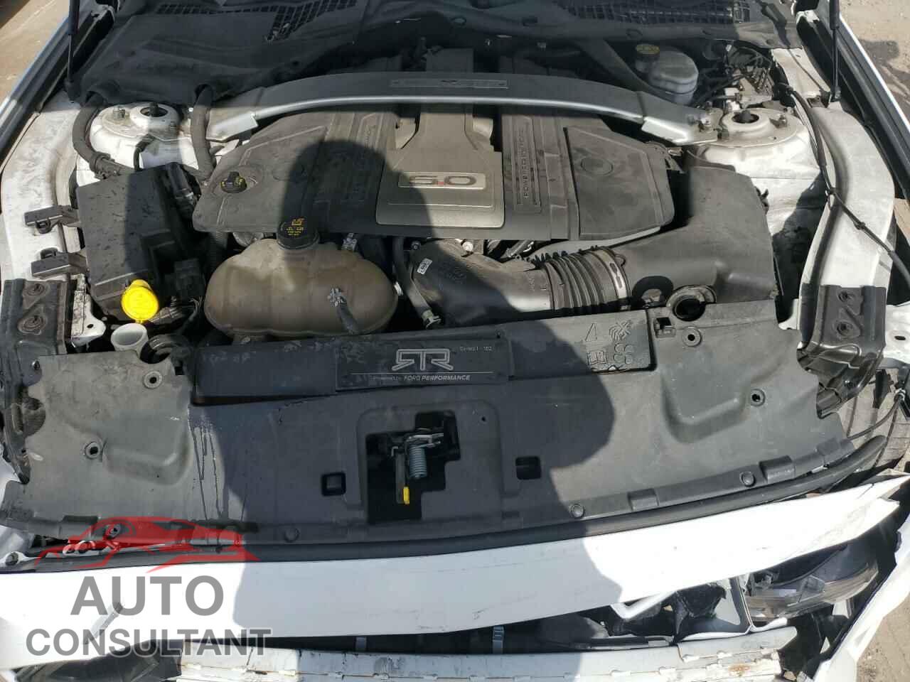 FORD MUSTANG 2019 - 1FA6P8CF2K5195647