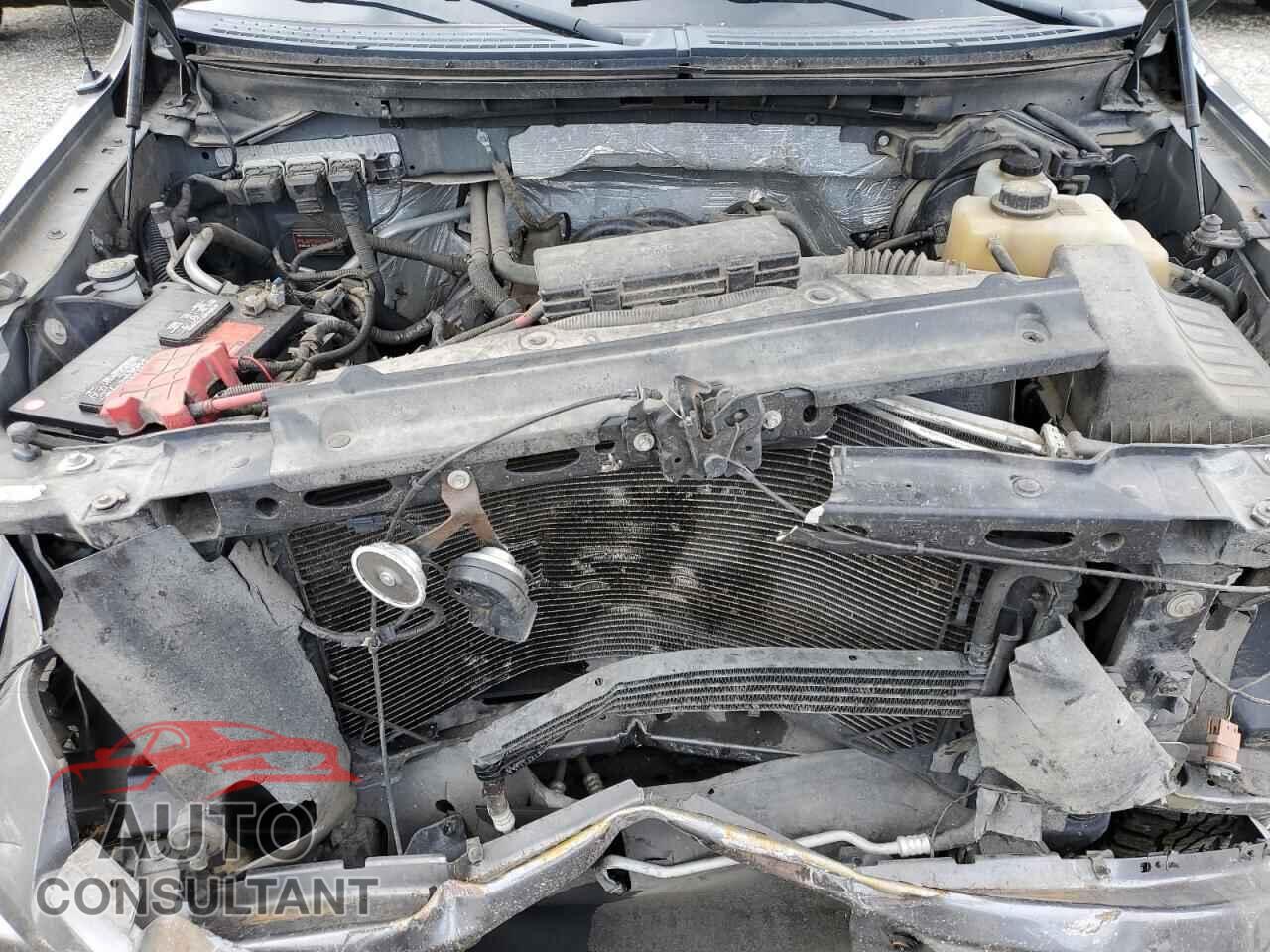FORD F-150 2013 - 1FTFX1EF9DFA70415
