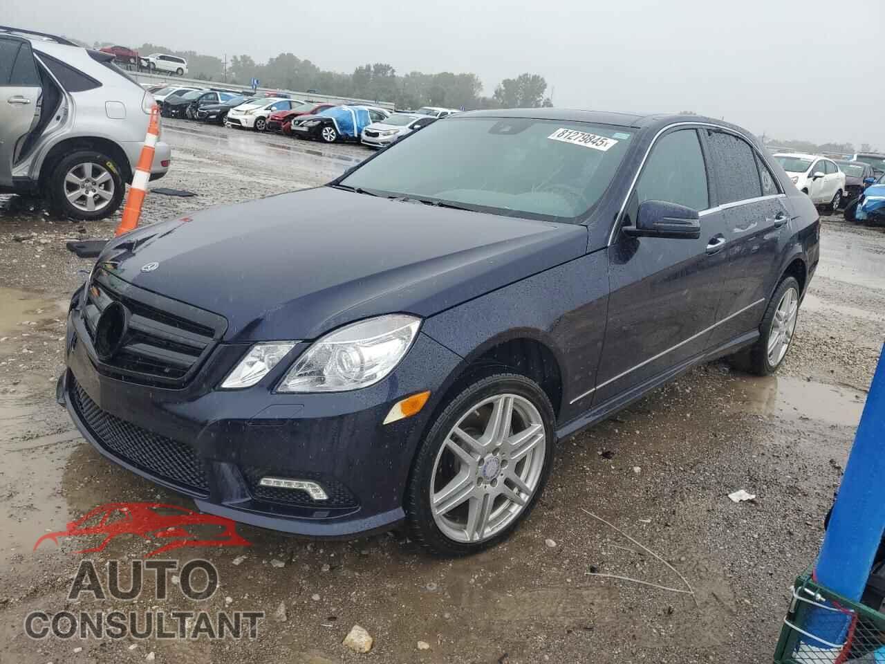 MERCEDES-BENZ E-CLASS 2010 - WDDHF9AB4AA222015