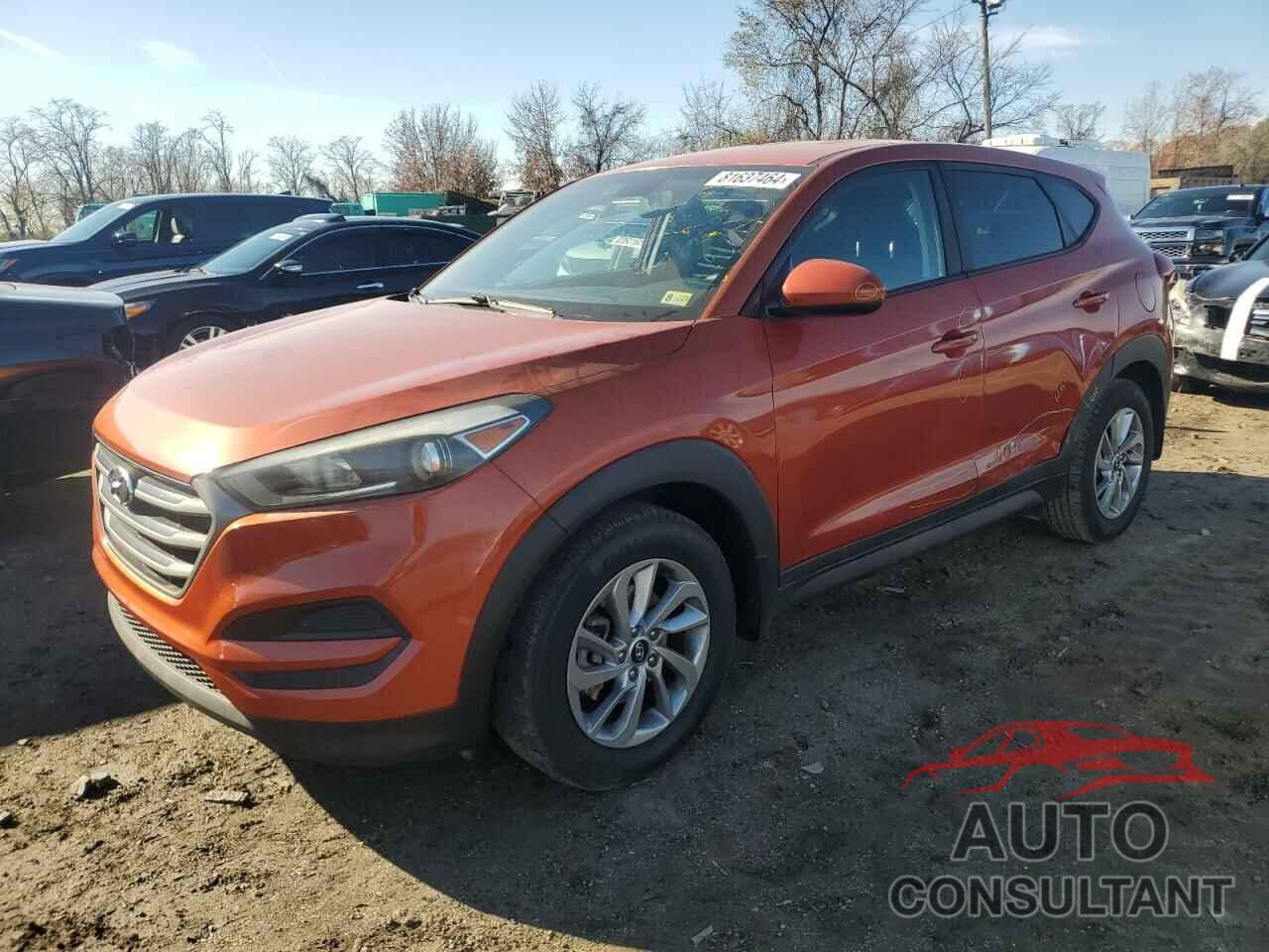 HYUNDAI TUCSON 2016 - KM8J23A45GU226633