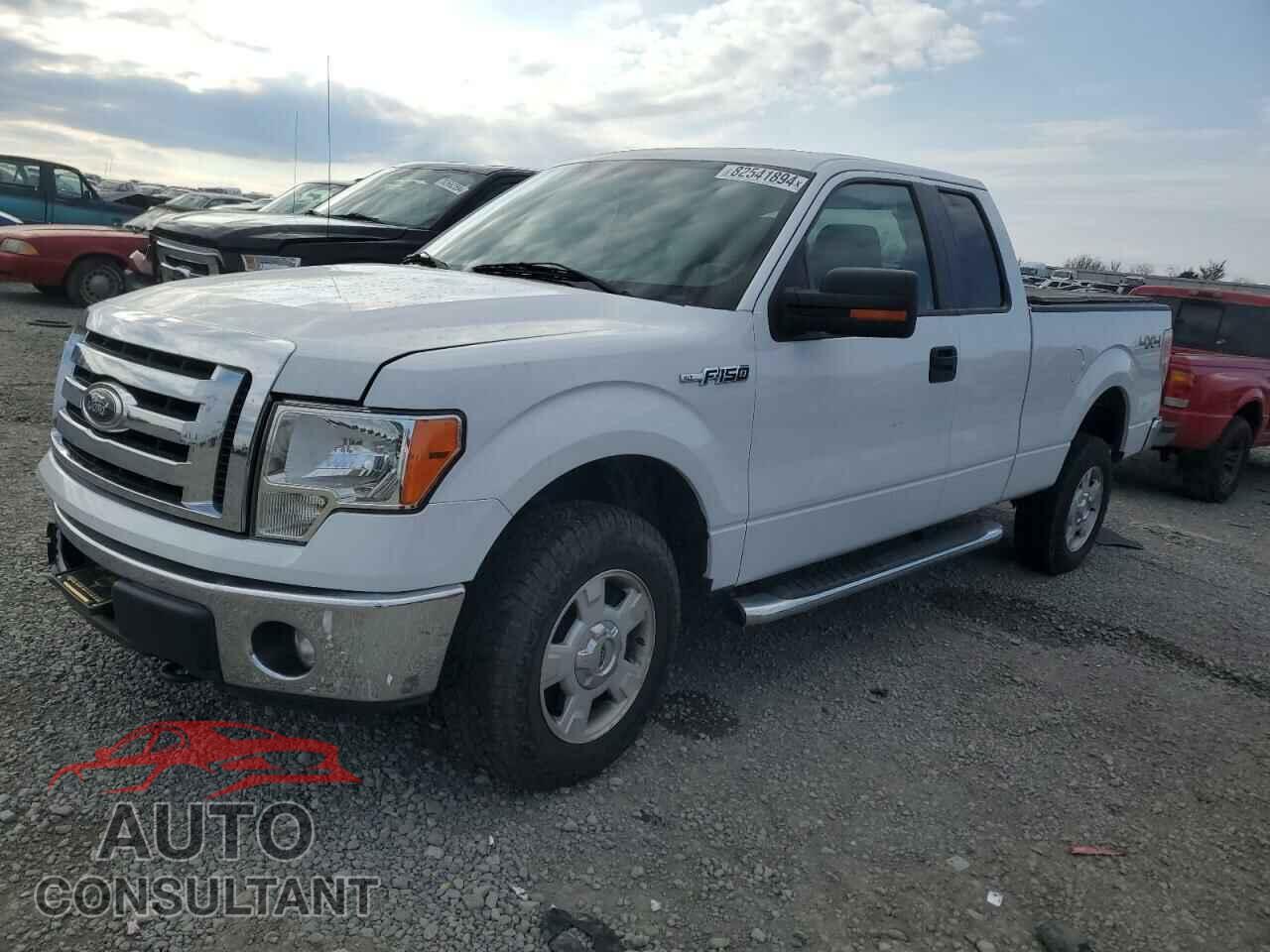 FORD F-150 2011 - 1FTFX1EF7BFD38066