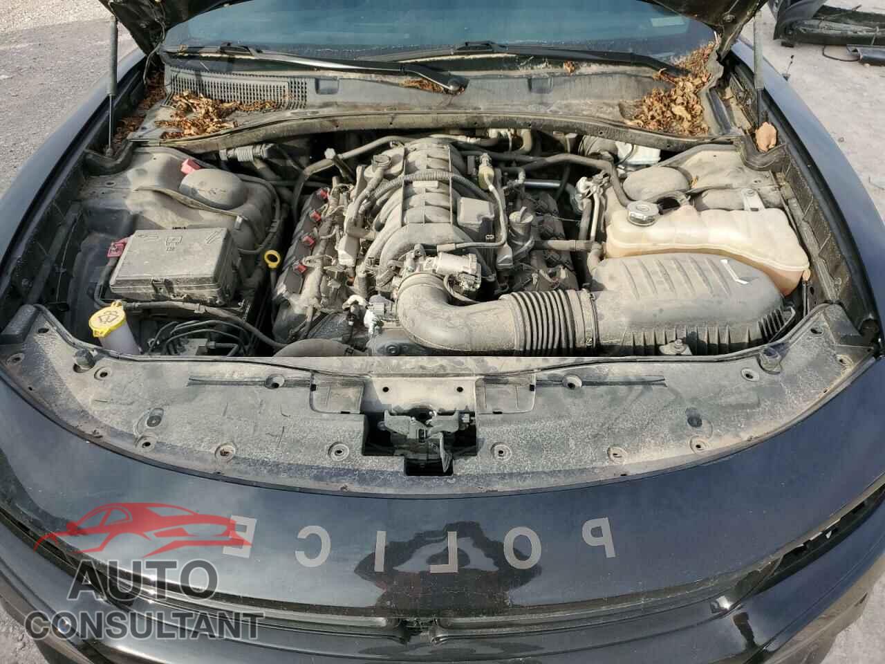 DODGE CHARGER 2019 - 2C3CDXAT5KH533113