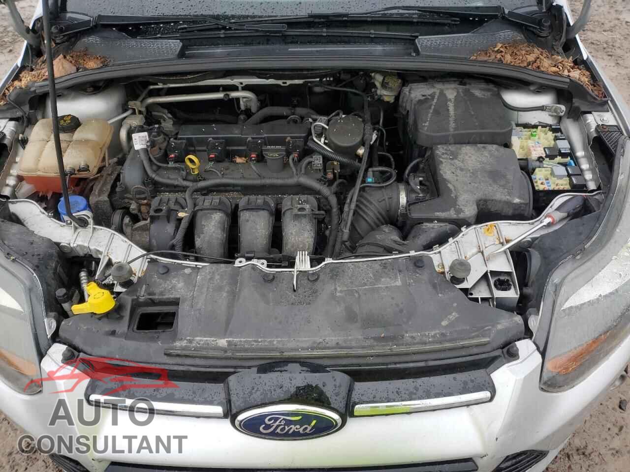 FORD FOCUS 2014 - 1FADP3J26EL243452