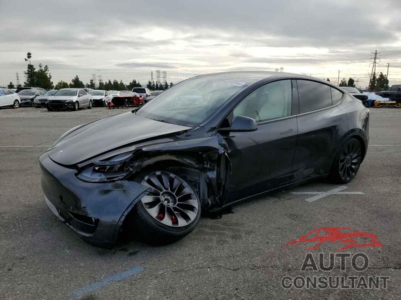 TESLA MODEL Y 2024 - 7SAYGDEF0RF020995