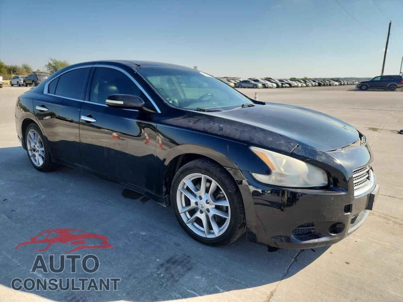 NISSAN MAXIMA 2011 - 1N4AA5AP1BC812263