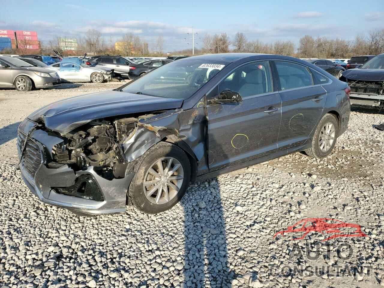 HYUNDAI SONATA 2019 - 5NPE24AF9KH743580