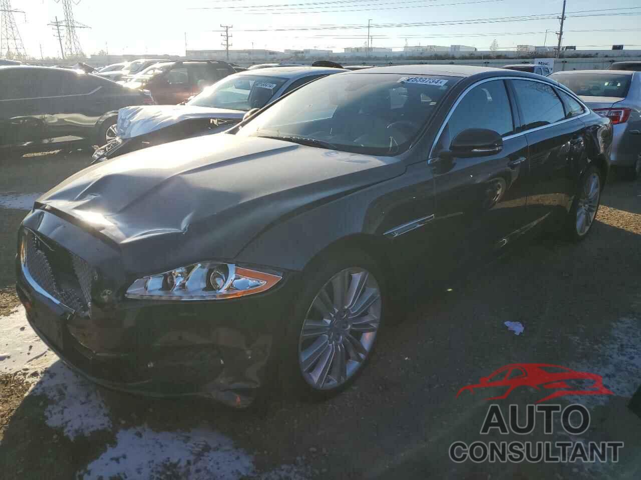 JAGUAR XJ 2015 - SAJWJ2GD9F8V85717