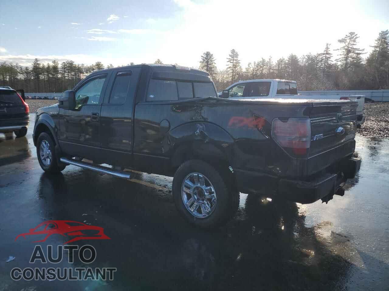 FORD F-150 2010 - 1FTFX1EV2AFD06521