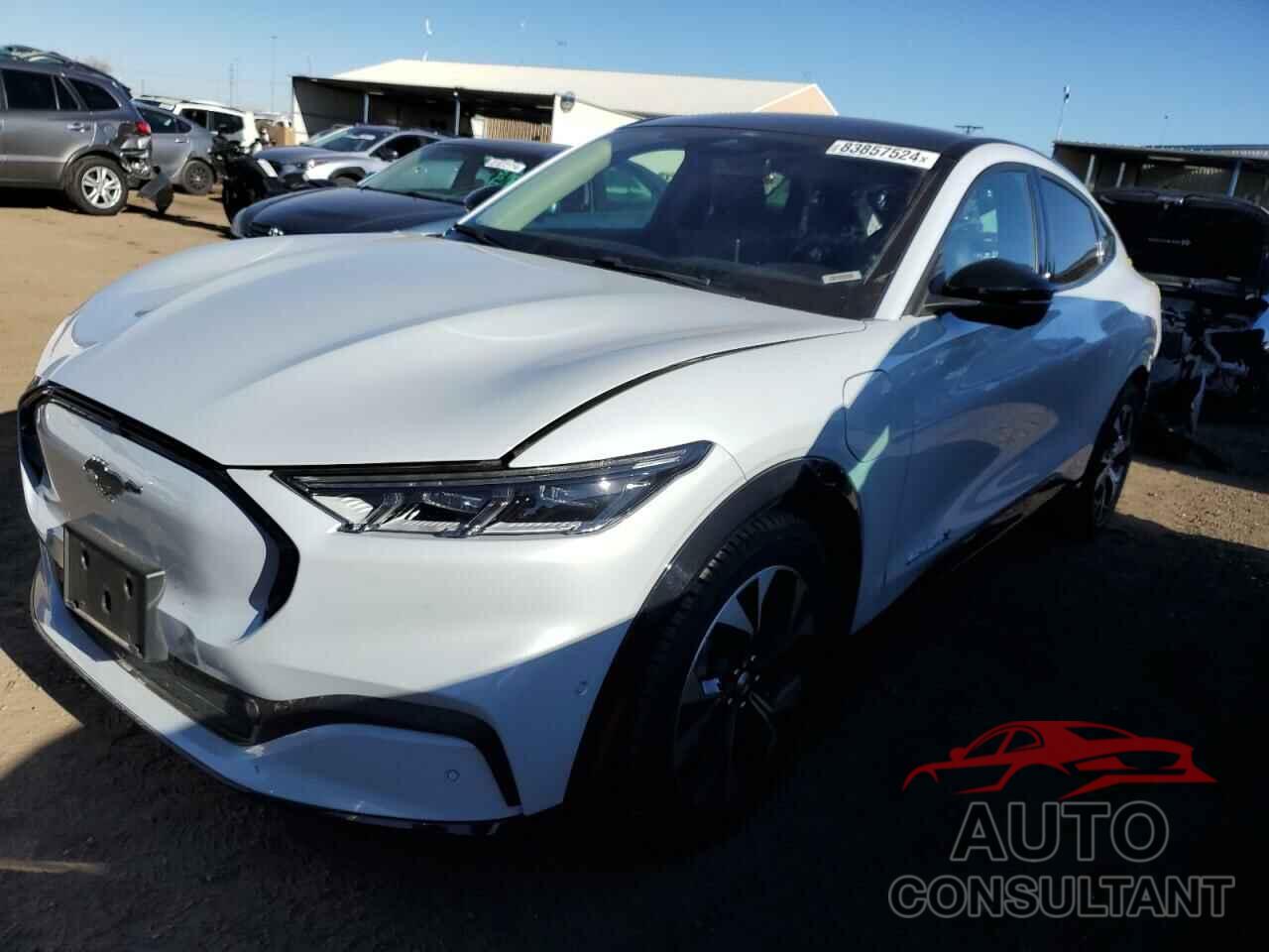 FORD MUSTANG 2022 - 3FMTK3SU7NMA50127