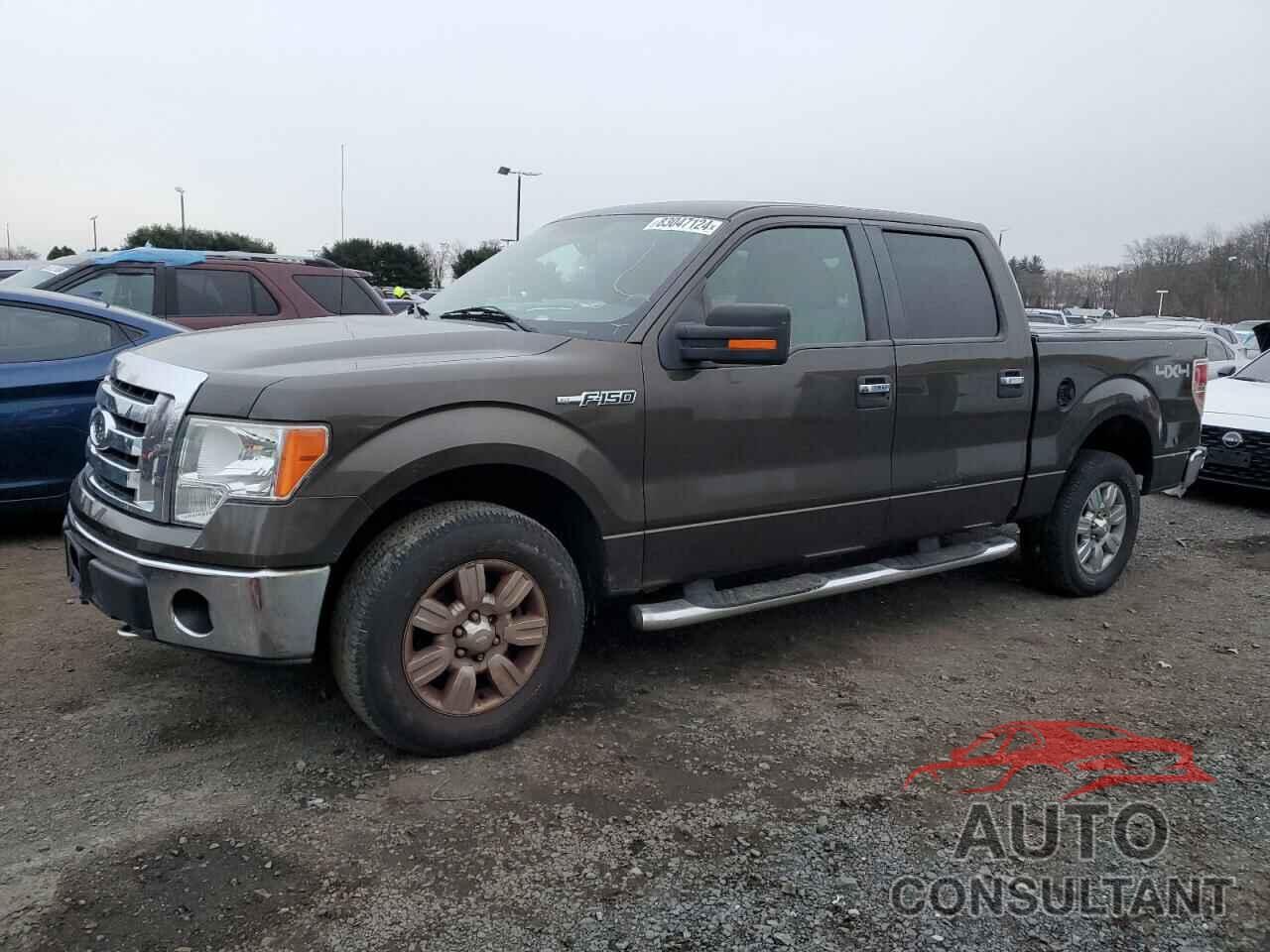 FORD F-150 2009 - 1FTRW14839KC60860