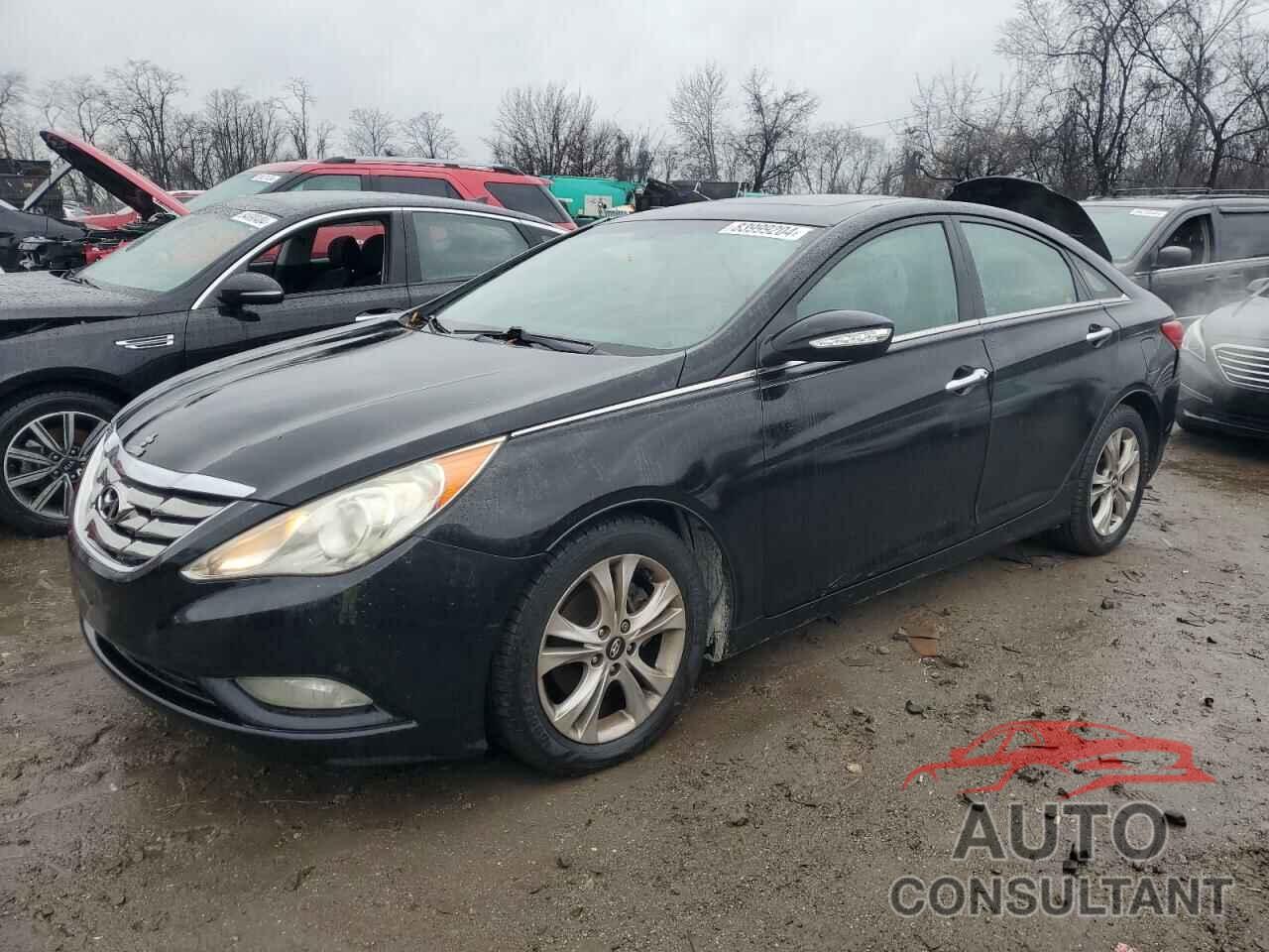 HYUNDAI SONATA 2011 - 5NPEC4AC5BH281554