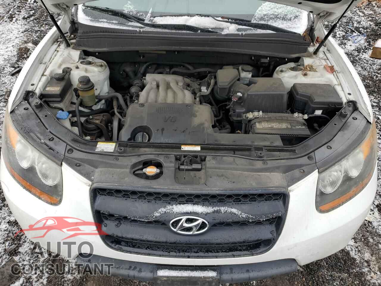 HYUNDAI SANTA FE 2009 - 5NMSG13D09H310221