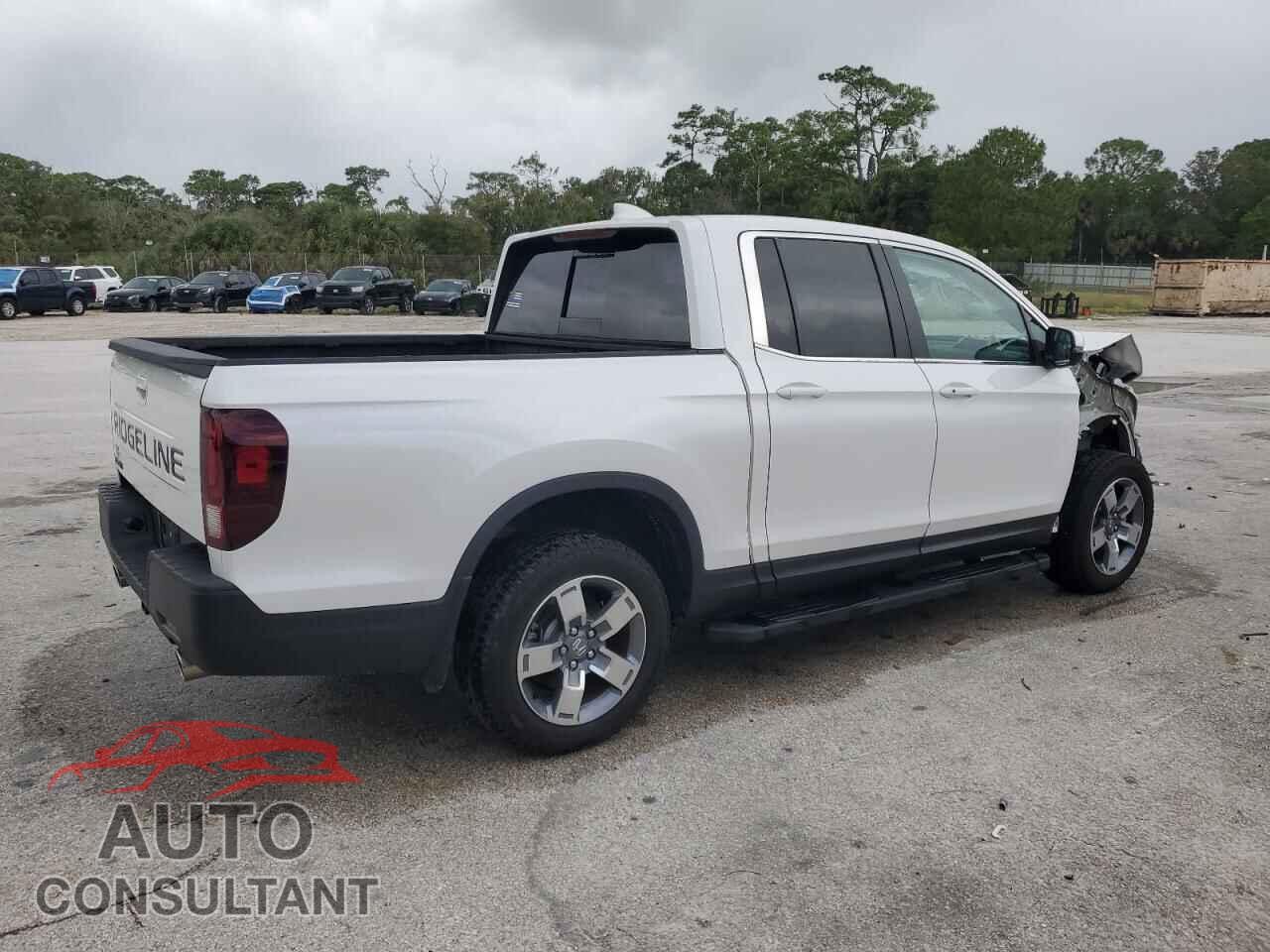 HONDA RIDGELINE 2024 - 5FPYK3F52RB026977