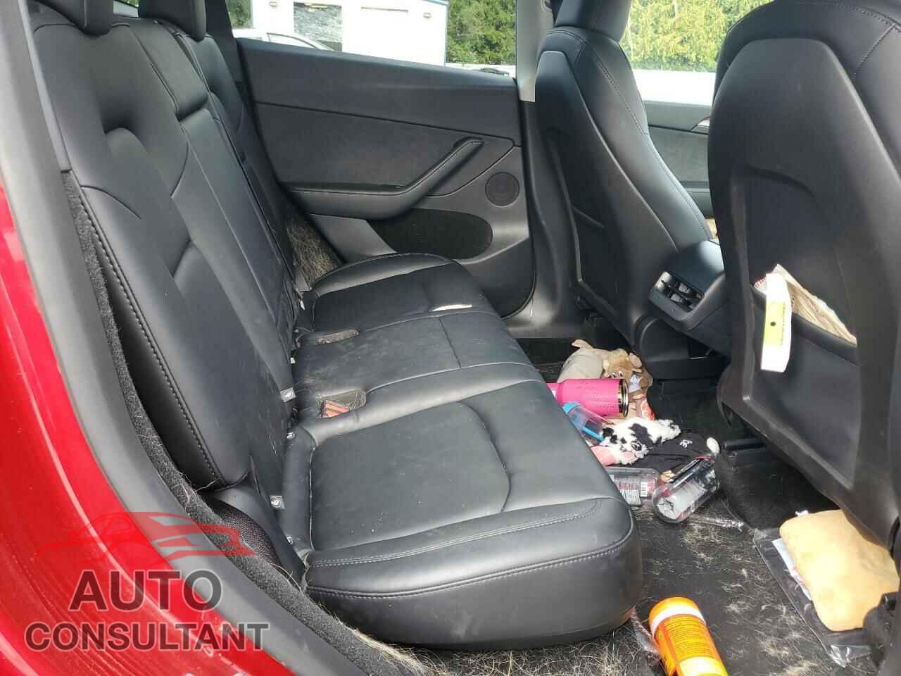 TESLA MODEL Y 2025 - 7SAYGDEE9SF244389