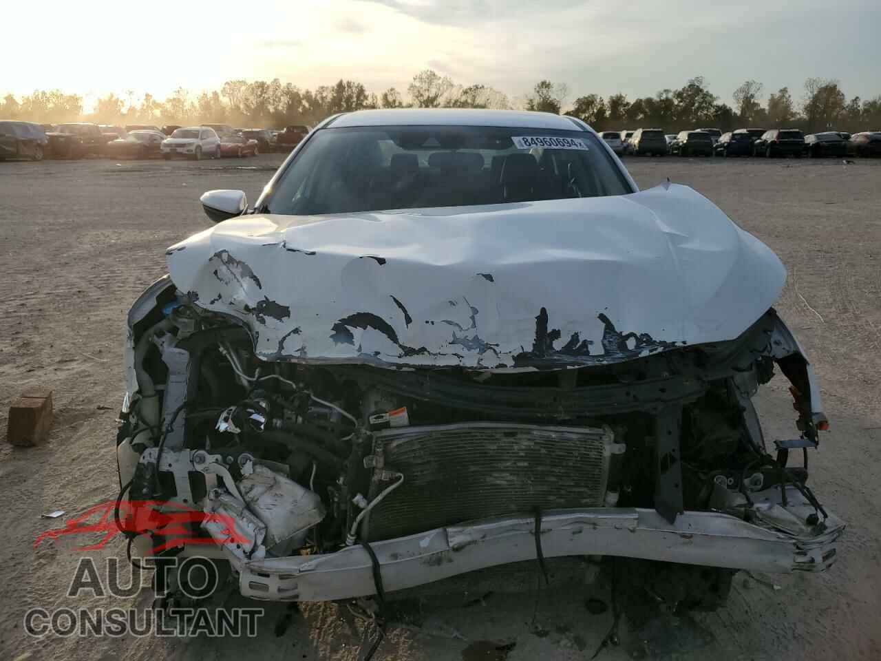 HONDA CIVIC 2019 - 19XFC2F6XKE036829