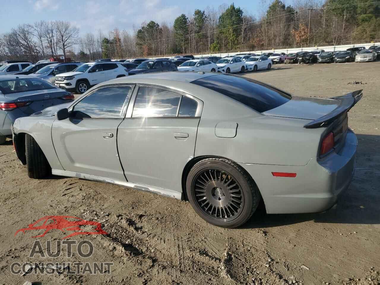 DODGE CHARGER 2014 - 2C3CDXCT3EH104859