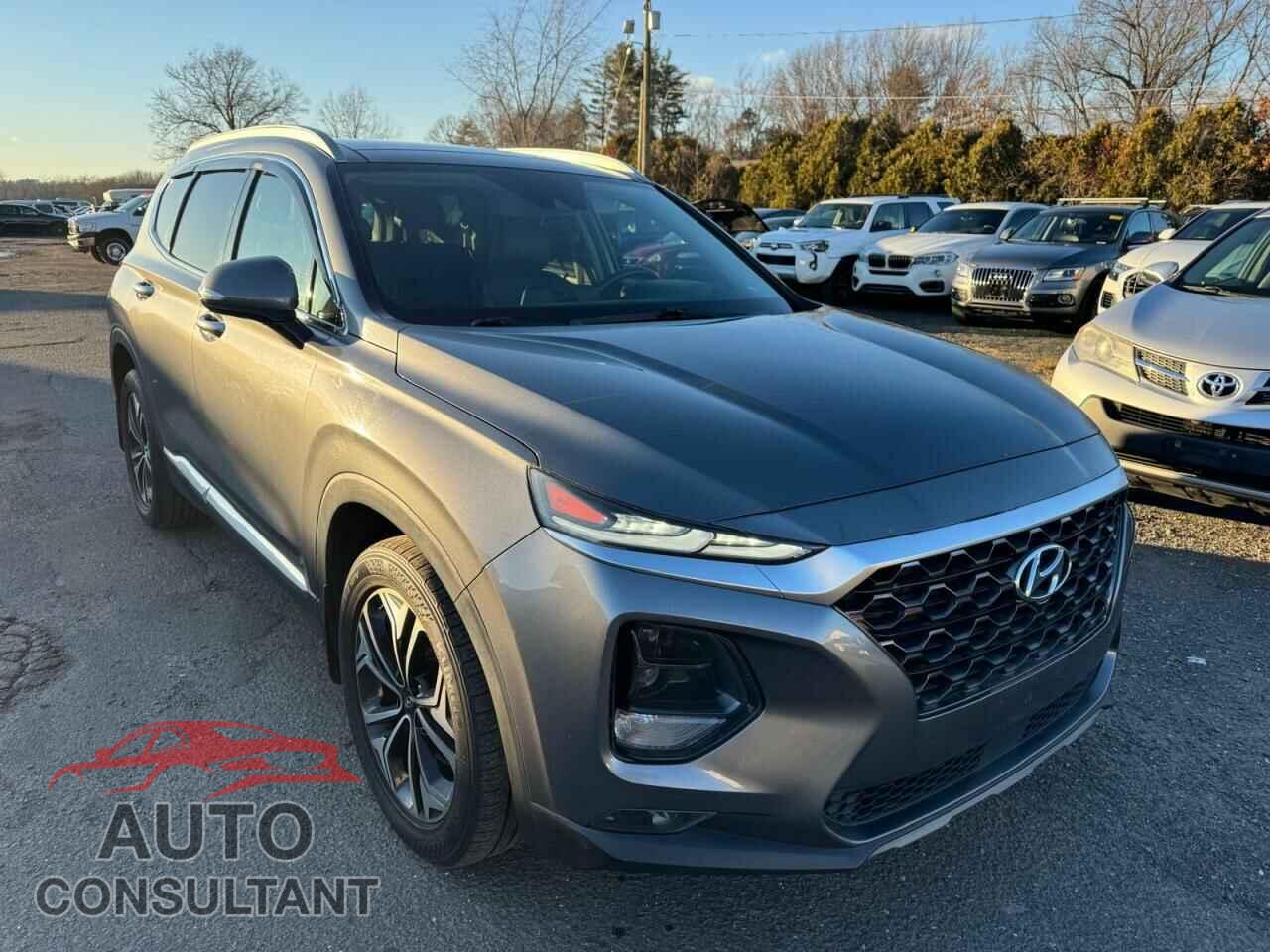 HYUNDAI SANTA FE 2019 - 5NMS5CAA6KH012319