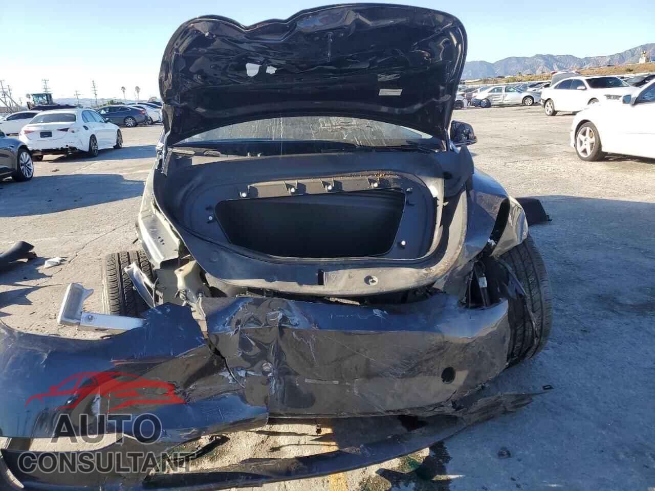TESLA MODEL Y 2024 - 7SAYGDEE3RF031934