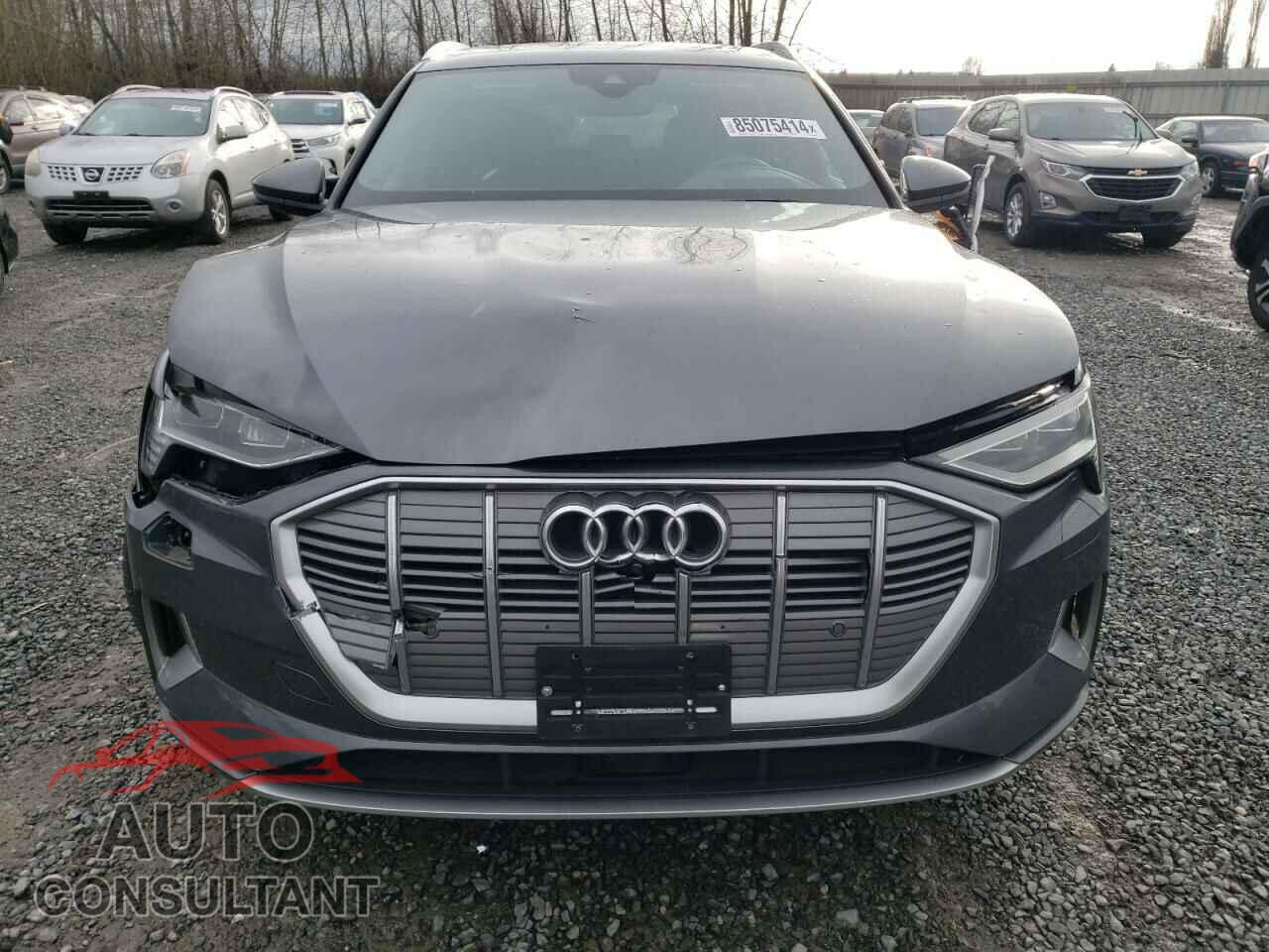 AUDI E-TRON 2019 - WA1VAAGE5KB008316