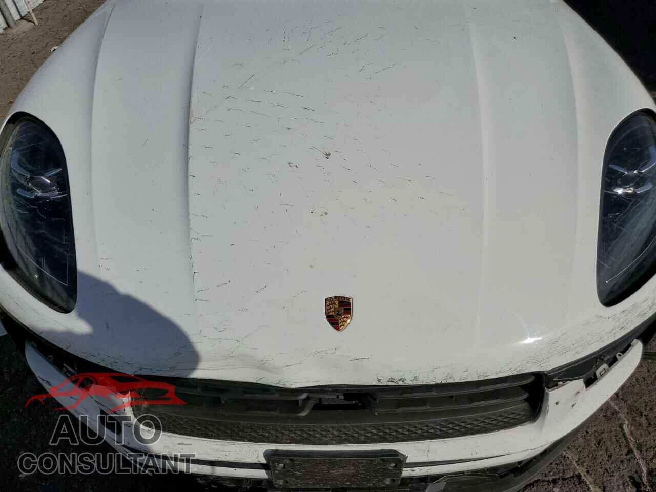 PORSCHE MACAN BASE 2024 - WP1AA2A55RLB16232