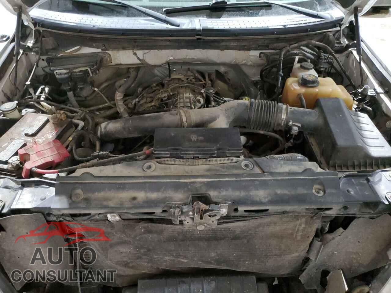 FORD F-150 2011 - 1FTFW1ET0BFA80191