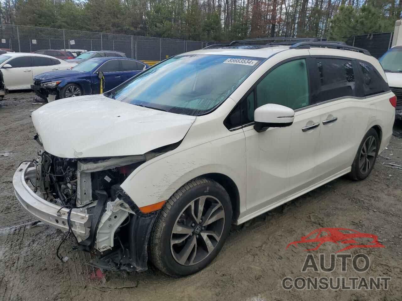 HONDA ODYSSEY 2019 - 5FNRL6H91KB069899