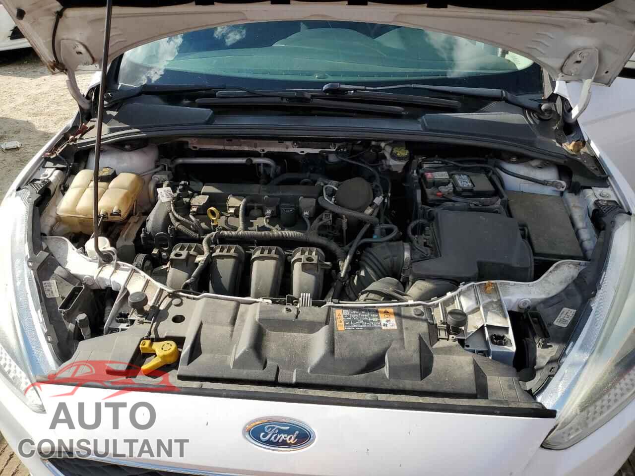FORD FOCUS 2015 - 1FADP3F21FL243515