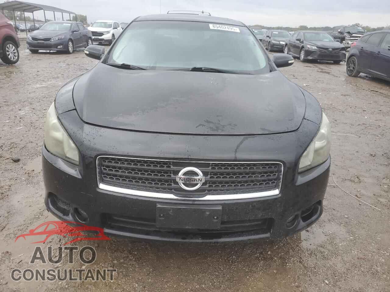 NISSAN MAXIMA 2011 - 1N4AA5AP9BC840439