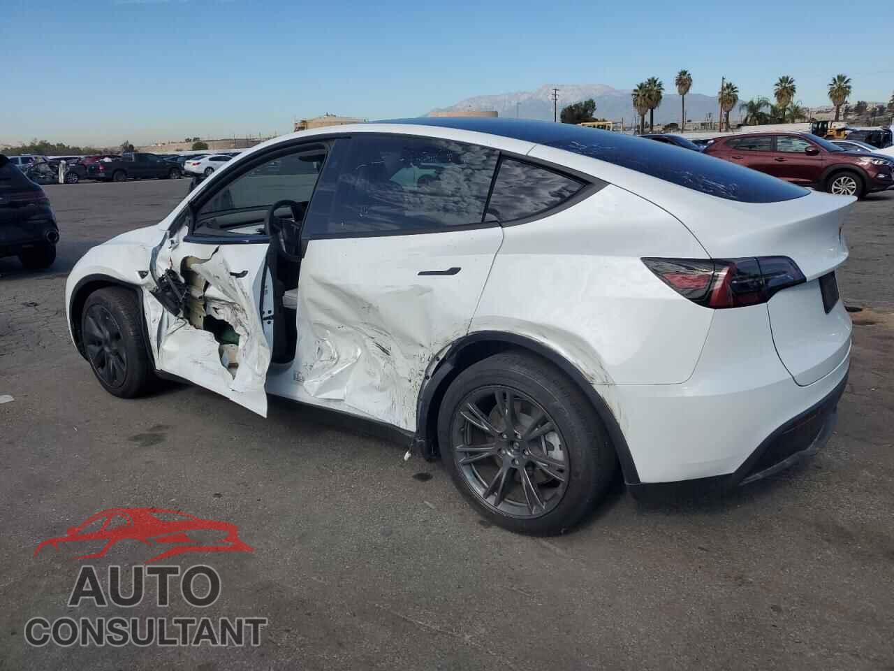 TESLA MODEL Y 2024 - 7SAYGAEE3RF124841