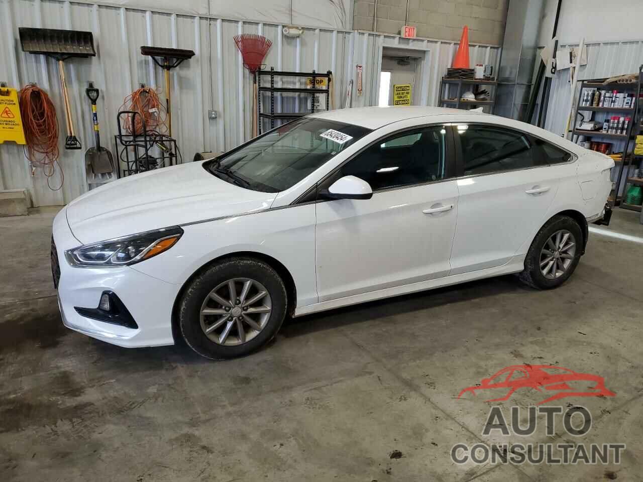 HYUNDAI SONATA 2019 - 5NPE24AF1KH761426