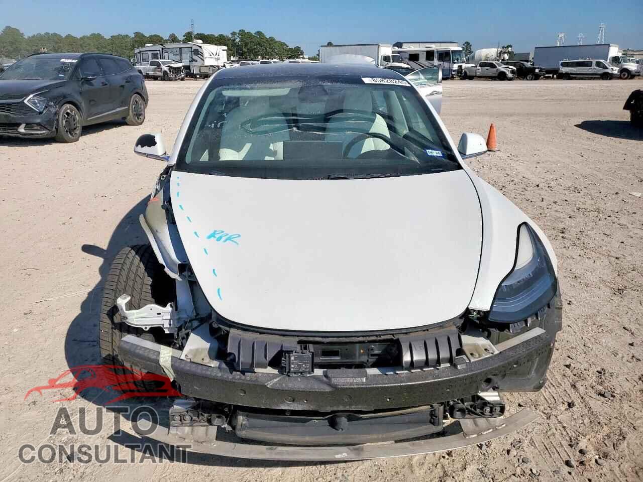TESLA MODEL 3 2020 - 5YJ3E1EC4LF800281