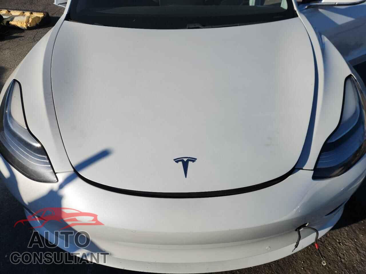 TESLA MODEL 3 2019 - 5YJ3E1EB2KF487138