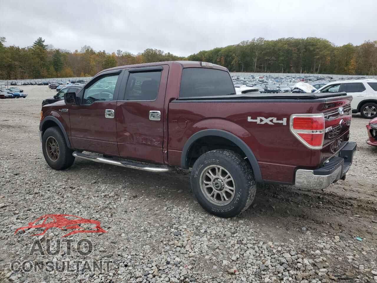 FORD F-150 2010 - 1FTFW1EV7AFB45859