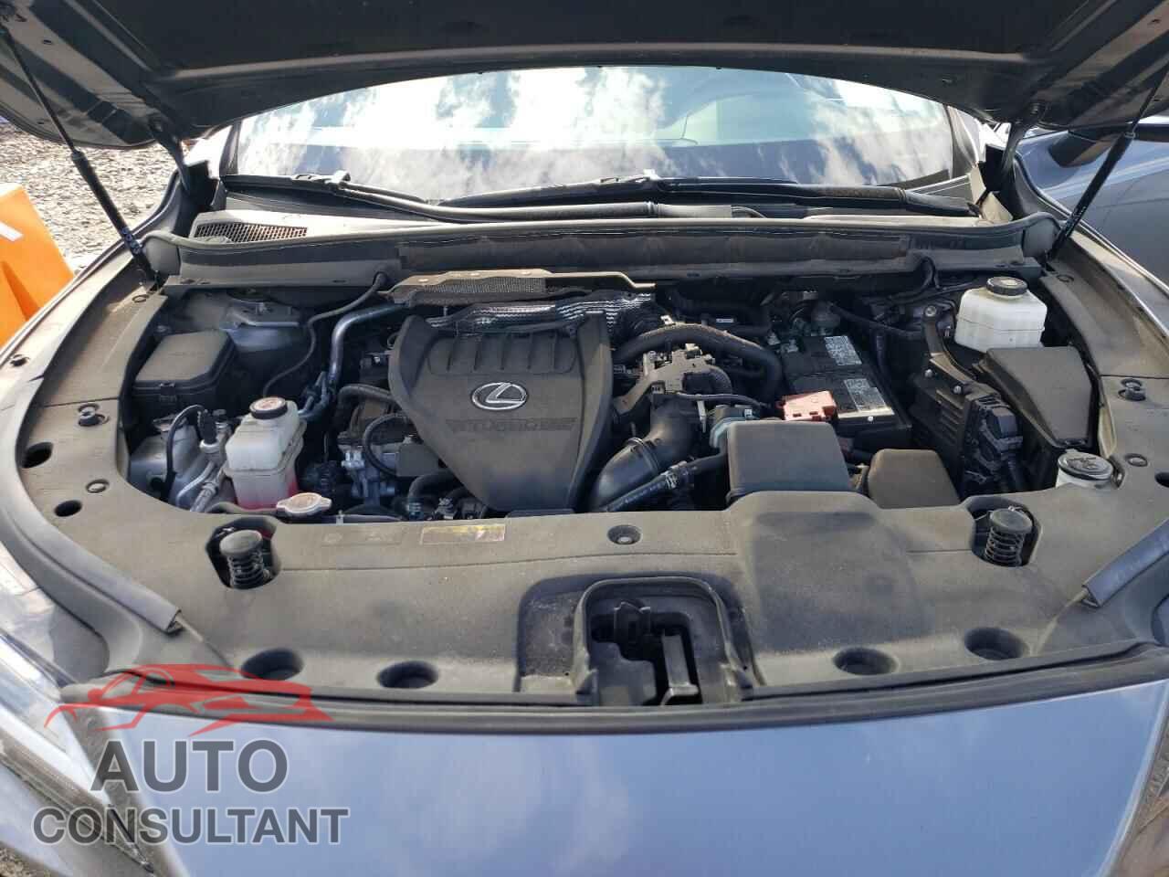 LEXUS RX350 2023 - 2T2BAMCA9PC008322
