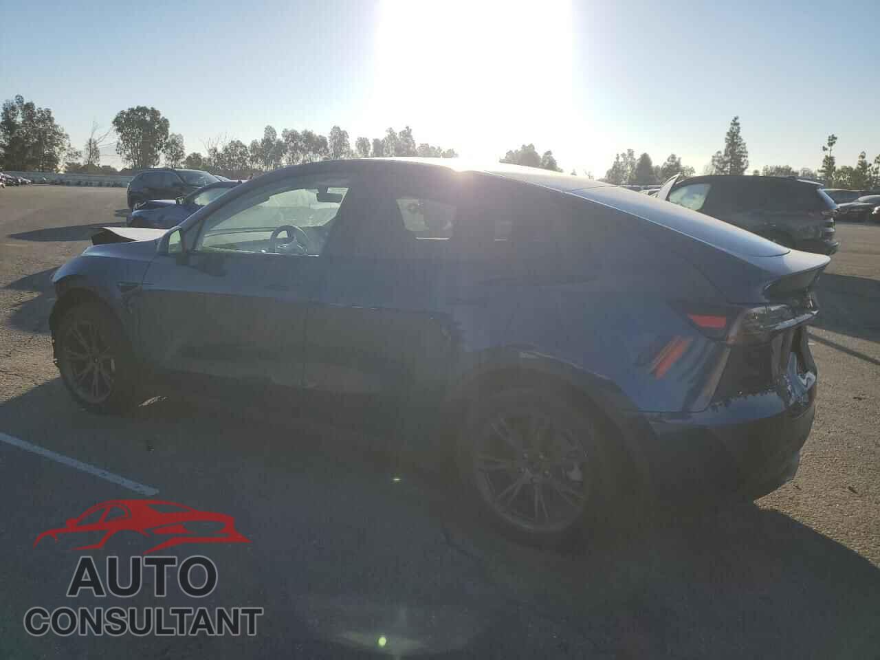 TESLA MODEL Y 2024 - 7SAYGDED2RF197207