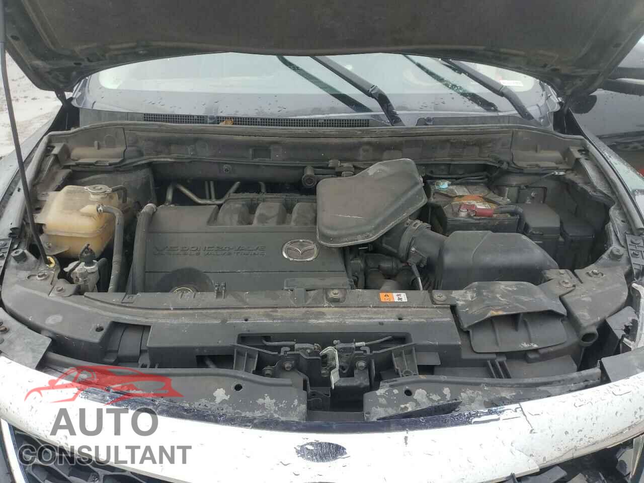 MAZDA CX-9 2011 - JM3TB3DA0B0320022