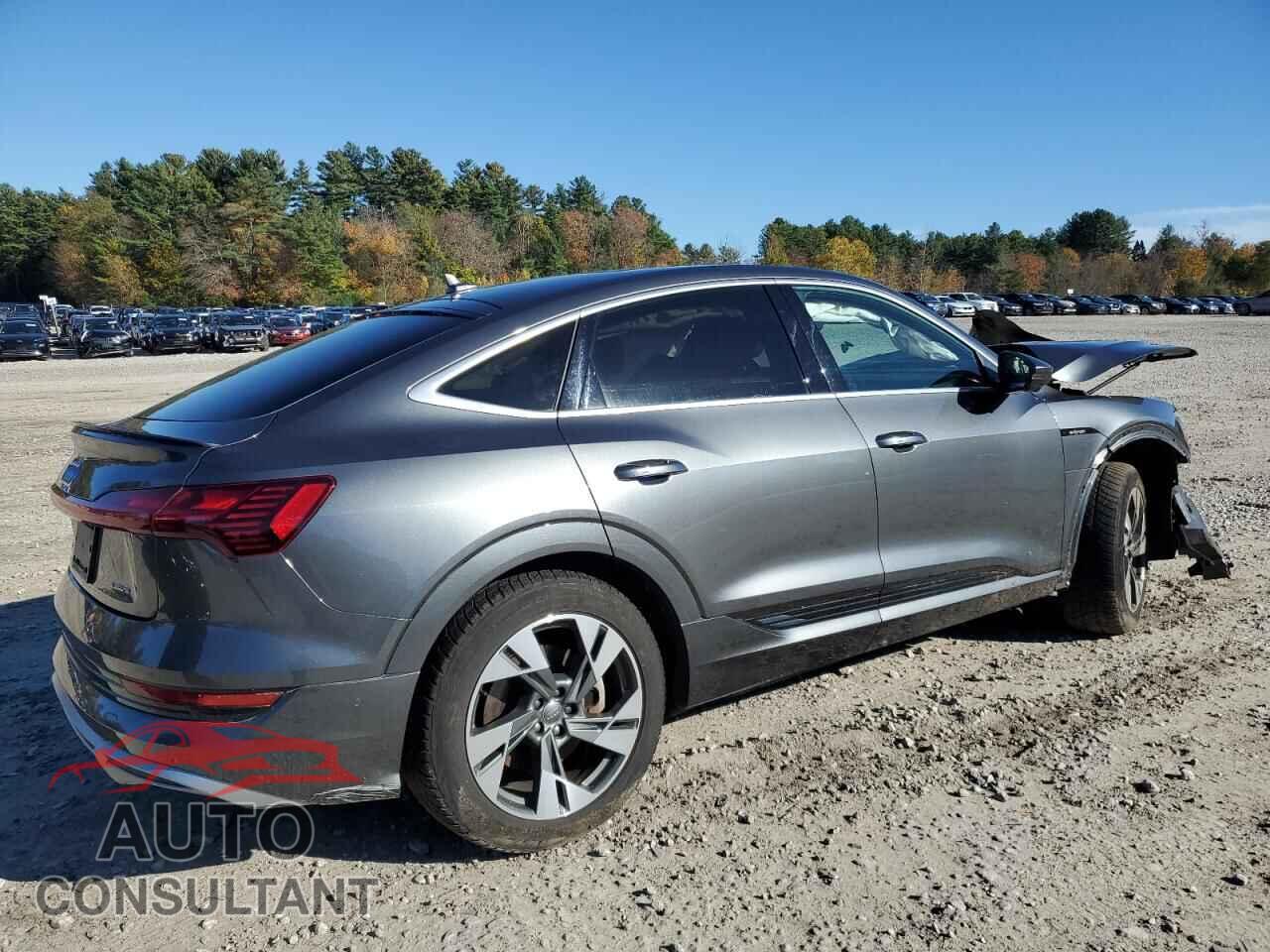 AUDI E-TRON 2021 - WA12AAGE4MB002142