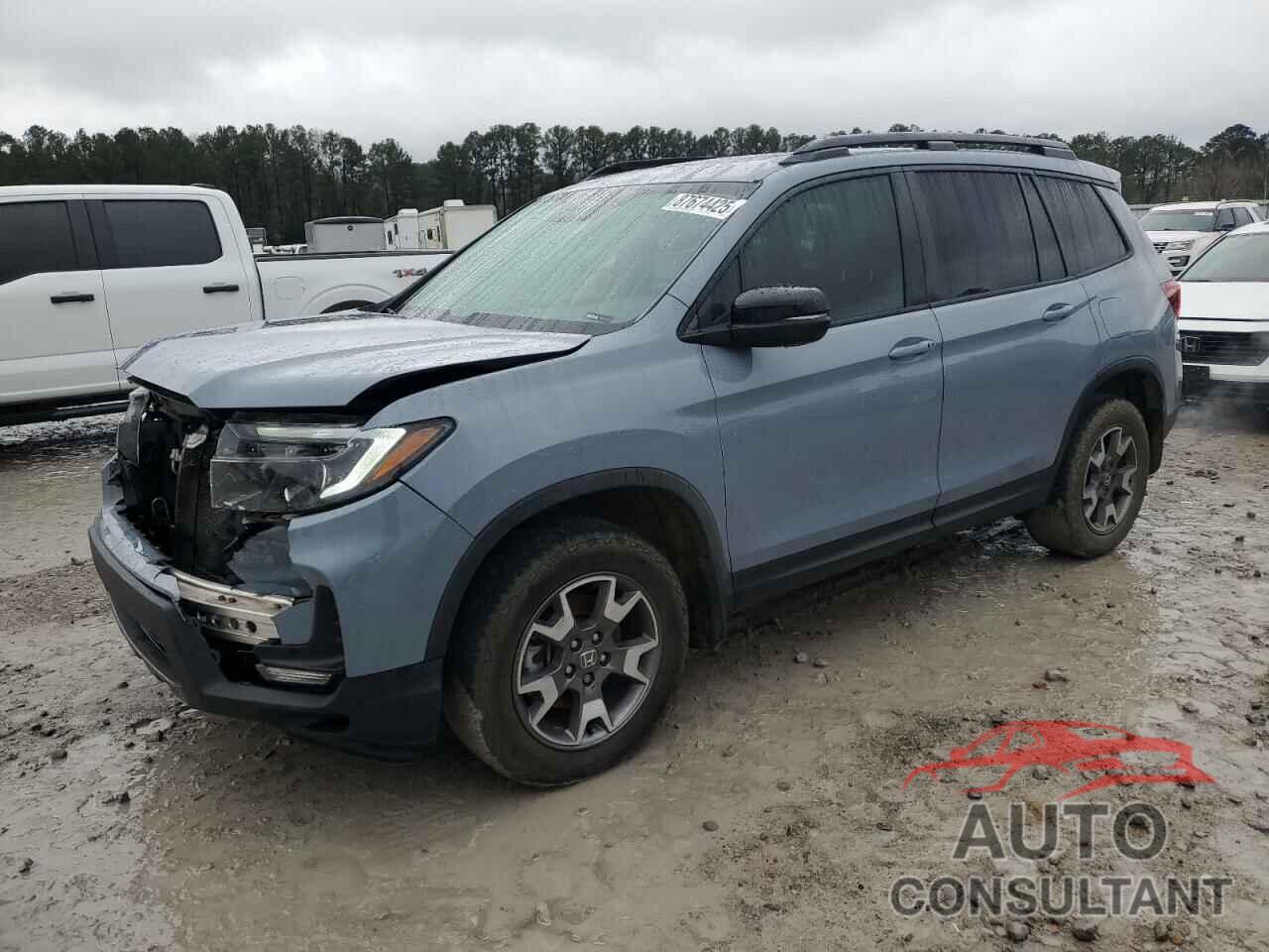 HONDA PASSPORT 2022 - 5FNYF8H69NB003271