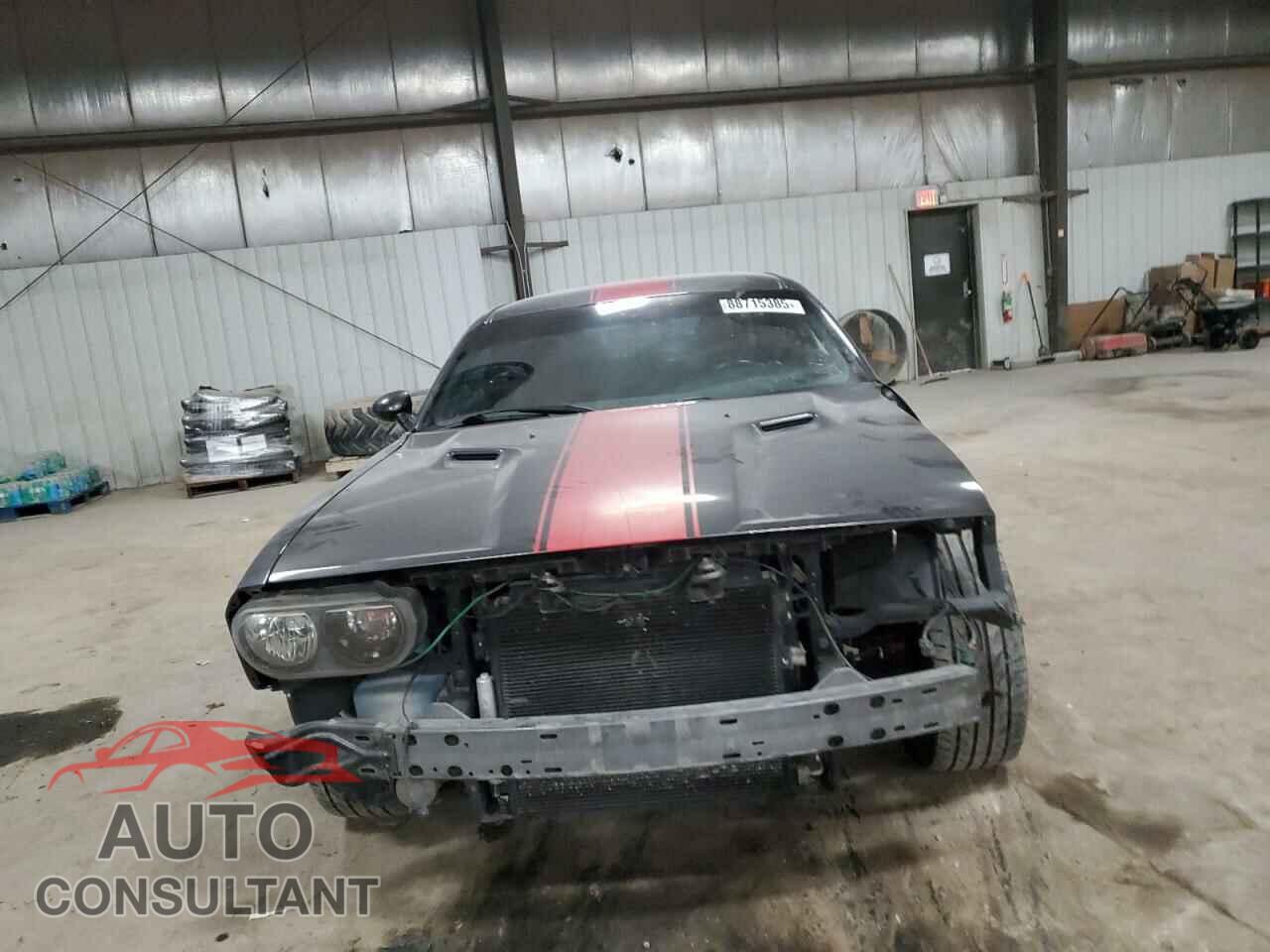 DODGE CHALLENGER 2013 - 2C3CDYAG7DH741585