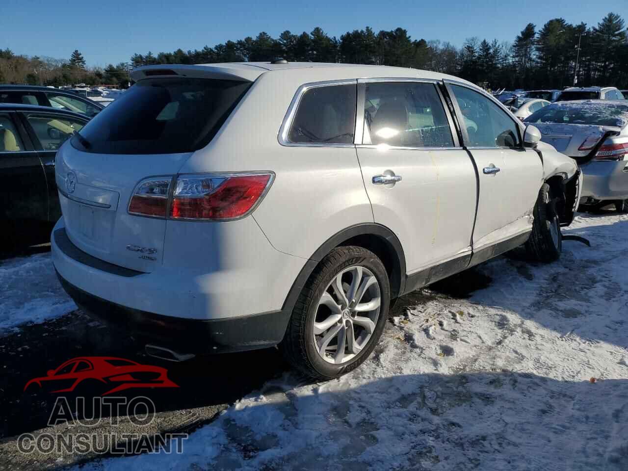 MAZDA CX-9 2012 - JM3TB3DV1C0347833