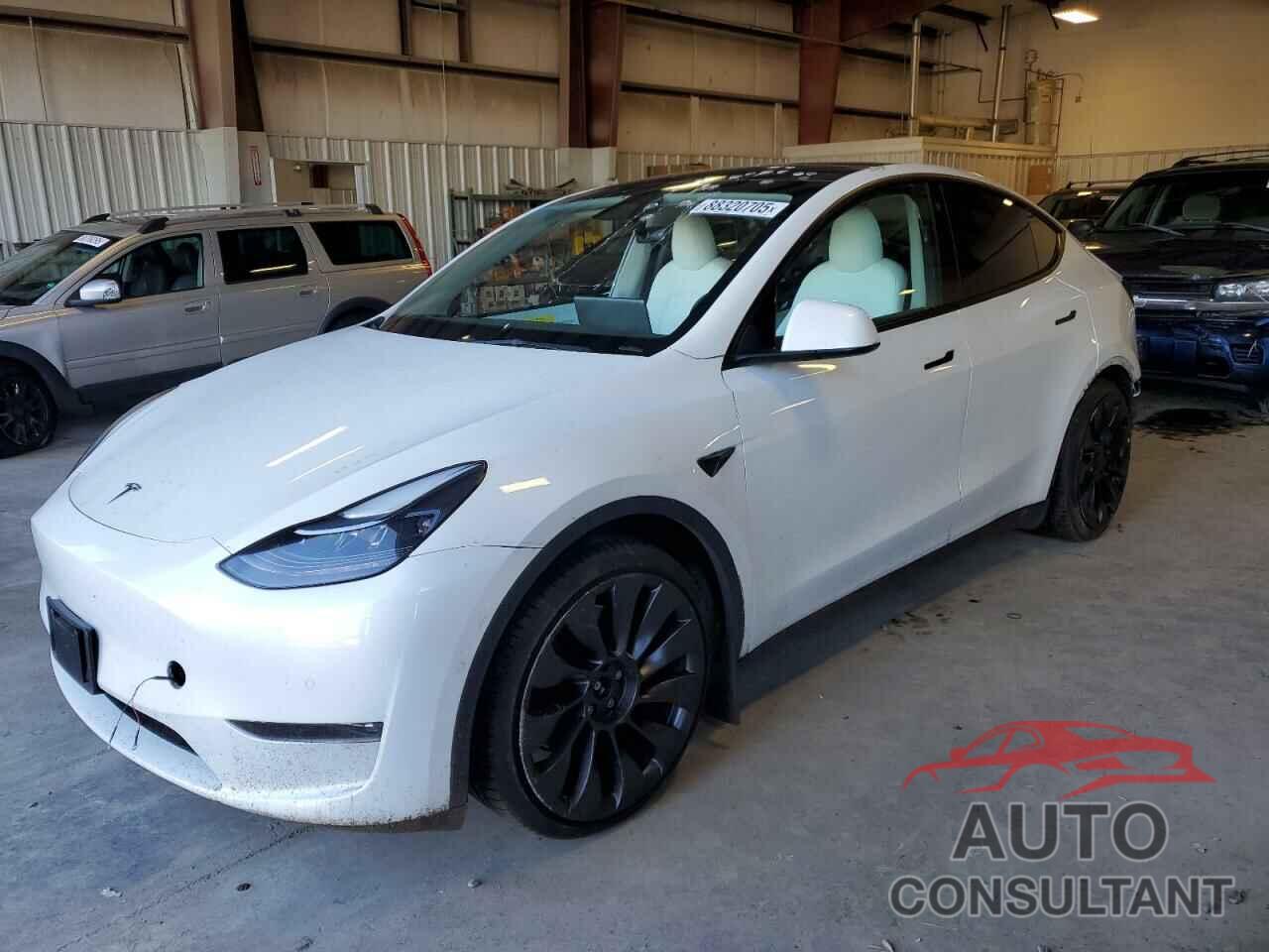 TESLA MODEL Y 2022 - 7SAYGDEF1NF448083