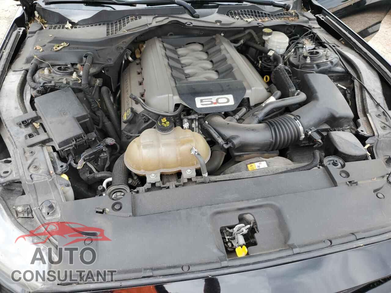 FORD MUSTANG 2015 - 1FA6P8CF5F5358605