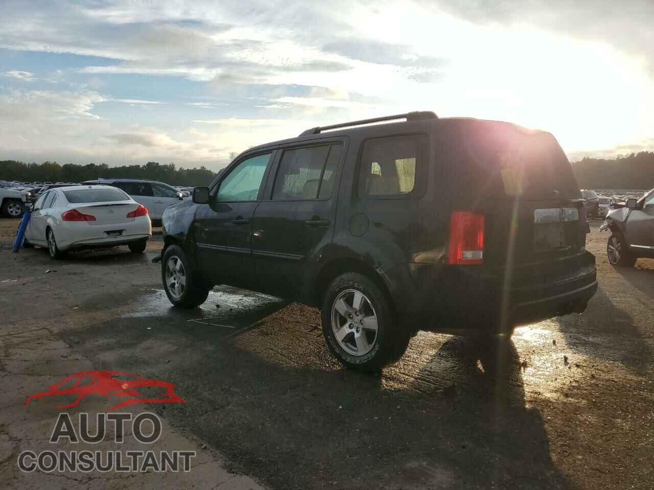 HONDA PILOT 2010 - 5FNYF4H58AB025384