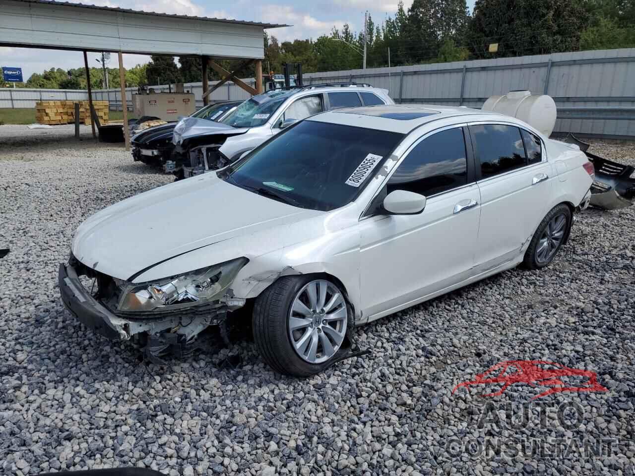HONDA ACCORD 2011 - 5KBCP3F84BB003206