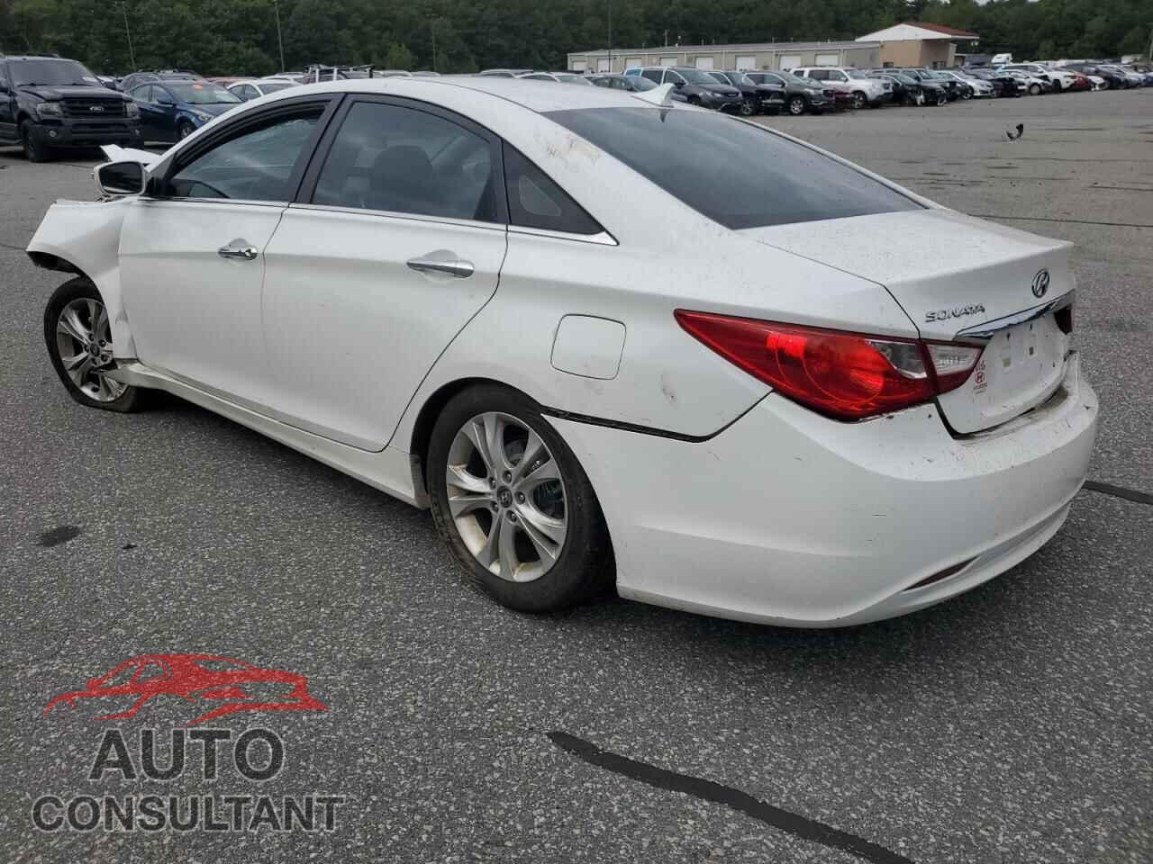 HYUNDAI SONATA 2011 - 5NPEC4AC7BH218567