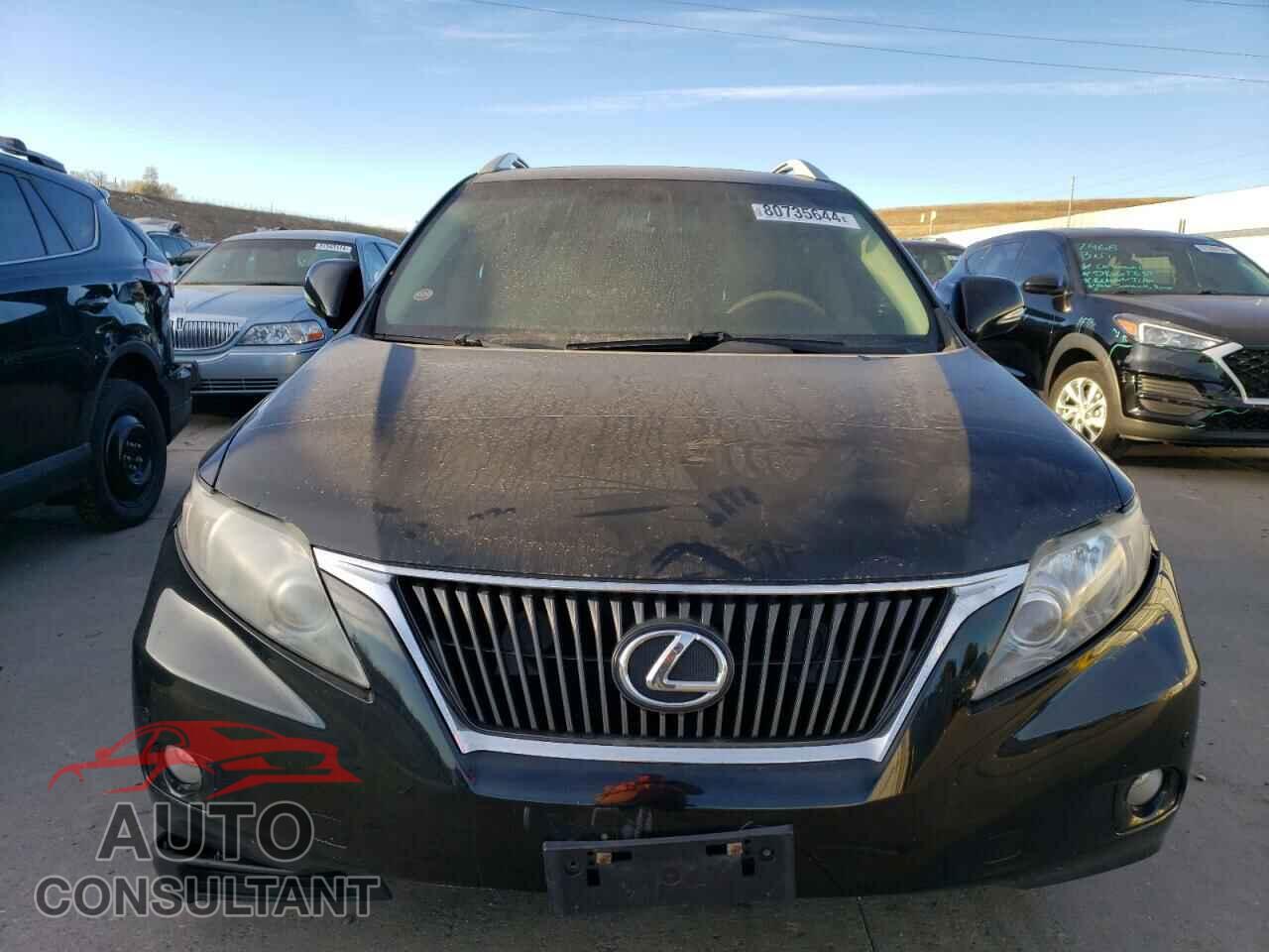 LEXUS RX350 2010 - 2T2BK1BA4AC043015